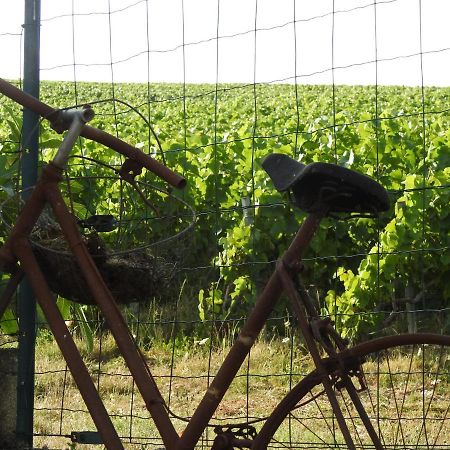 לינה וארוחת בוקר Épernay Au Coeur Des Vignes מראה חיצוני תמונה