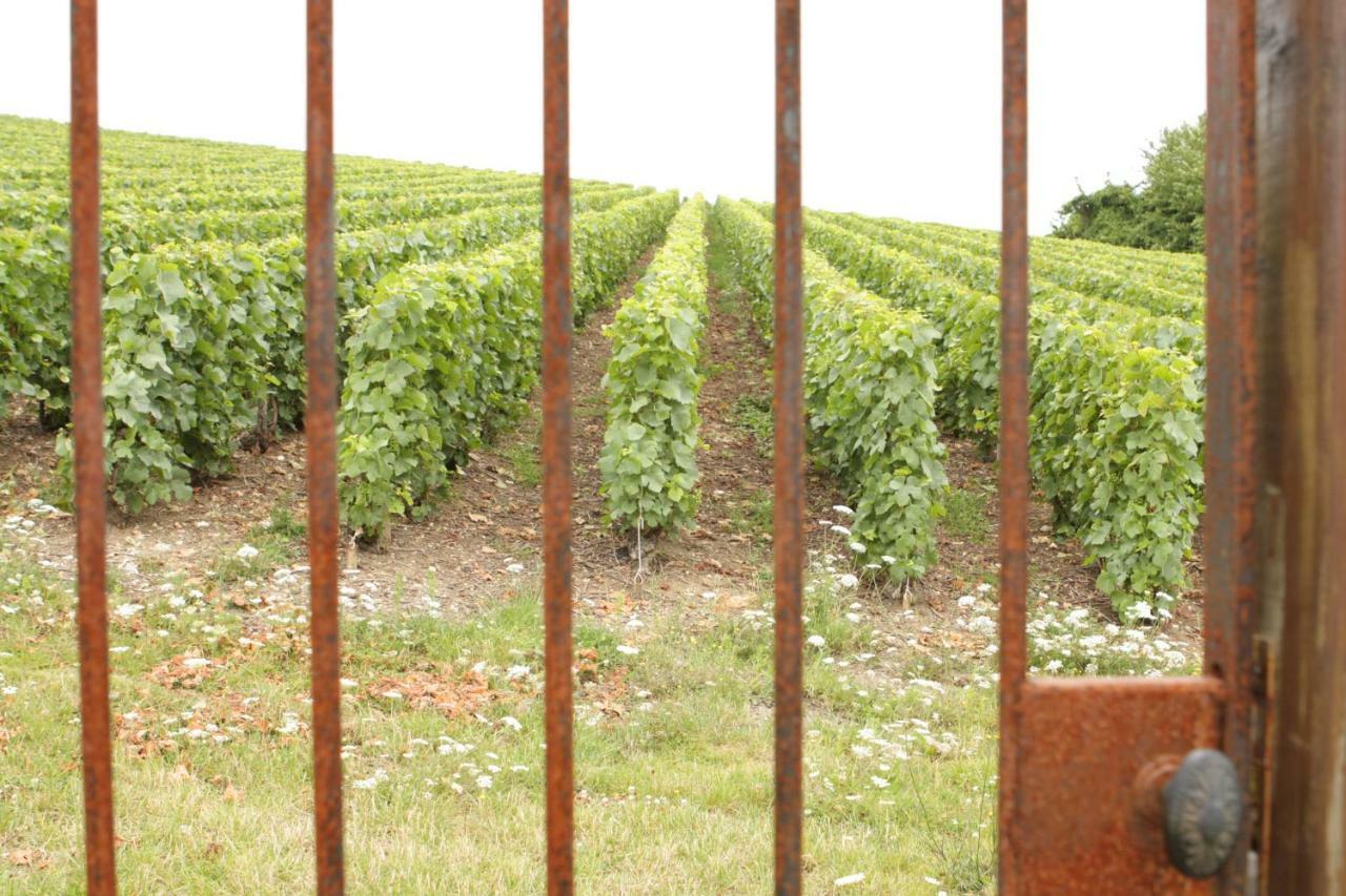 לינה וארוחת בוקר Épernay Au Coeur Des Vignes מראה חיצוני תמונה